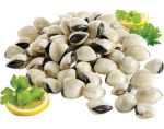 Picture of Clams White 1kg