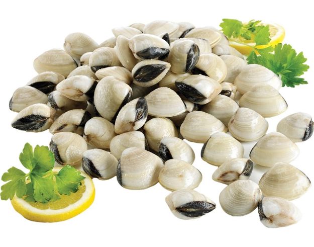 Picture of Clams White 1kg