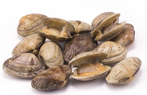 Picture of Brown  Clams 900g