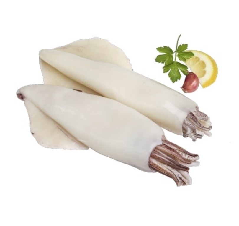Lula Limpa Lusofish 20/40 10x800gr | Divino