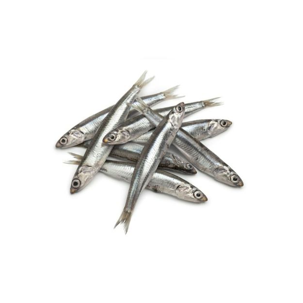 Imagem de Petinga Frozen (Small Sardines) 600gr