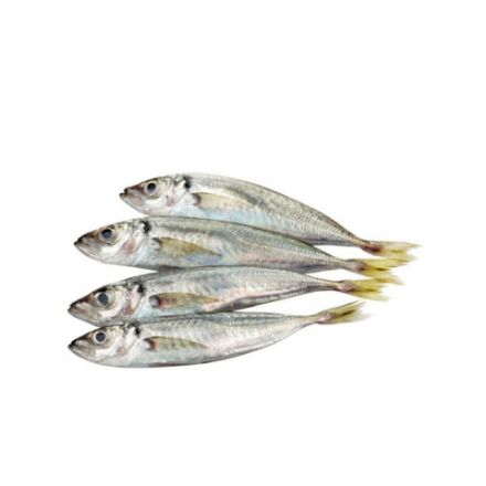 Picture of Small White Mackerel 1kg