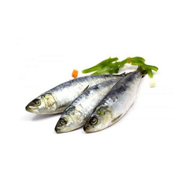 Picture of Sardines Portuguese Lusofish 1kg