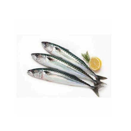 Picture of Medium Mackerel Fish 850g