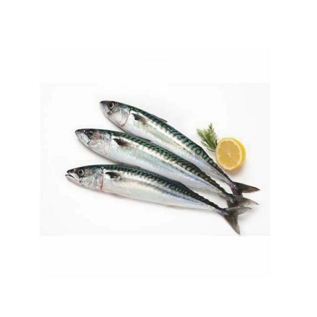 Picture of Medium Mackerel Fish 850g