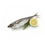 Picture of Medium Mackerel Fish 850g