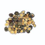 Picture of Limpets (Lapas) 1kg