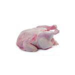 Picture of "Qualiko" Whole Chickens 1.1kg 