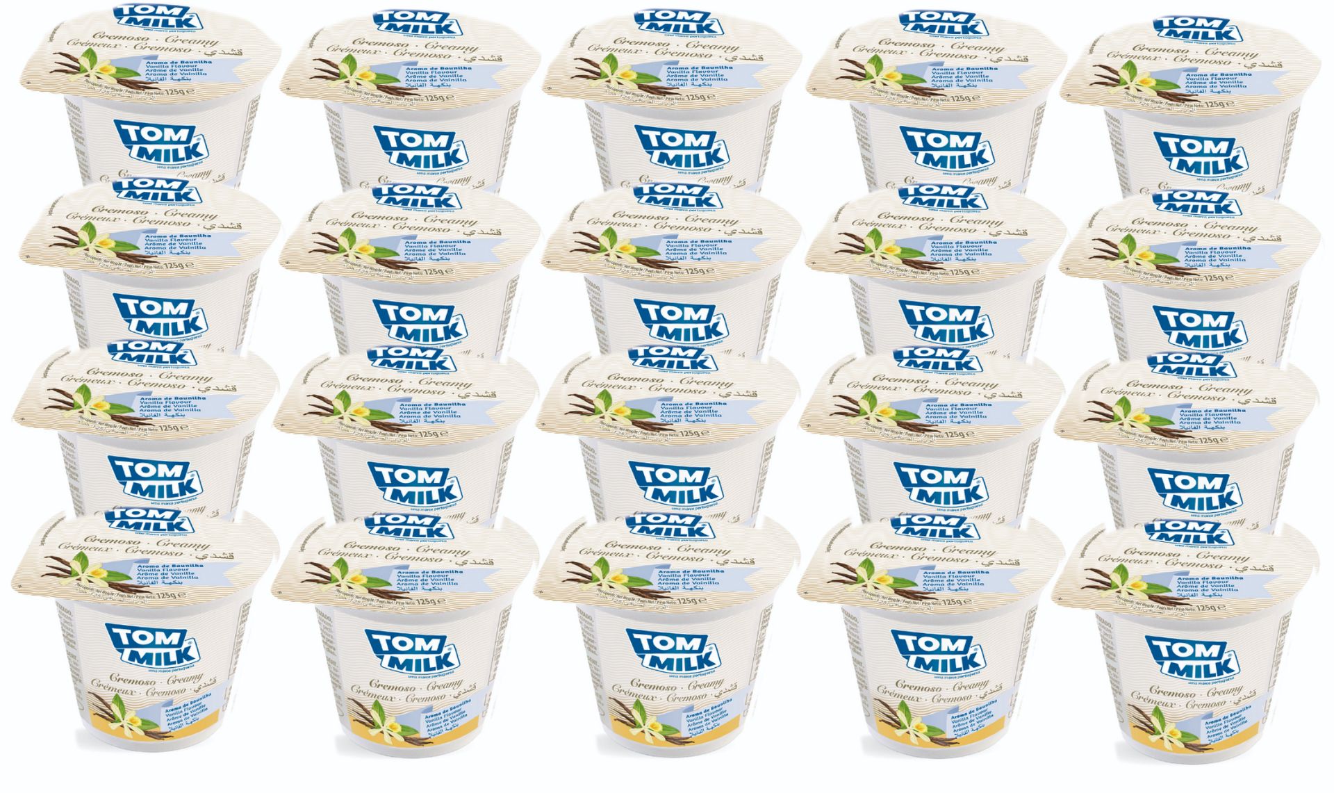 Vanilla Flavored Pasteurized Milk yogurt 125gr Divino