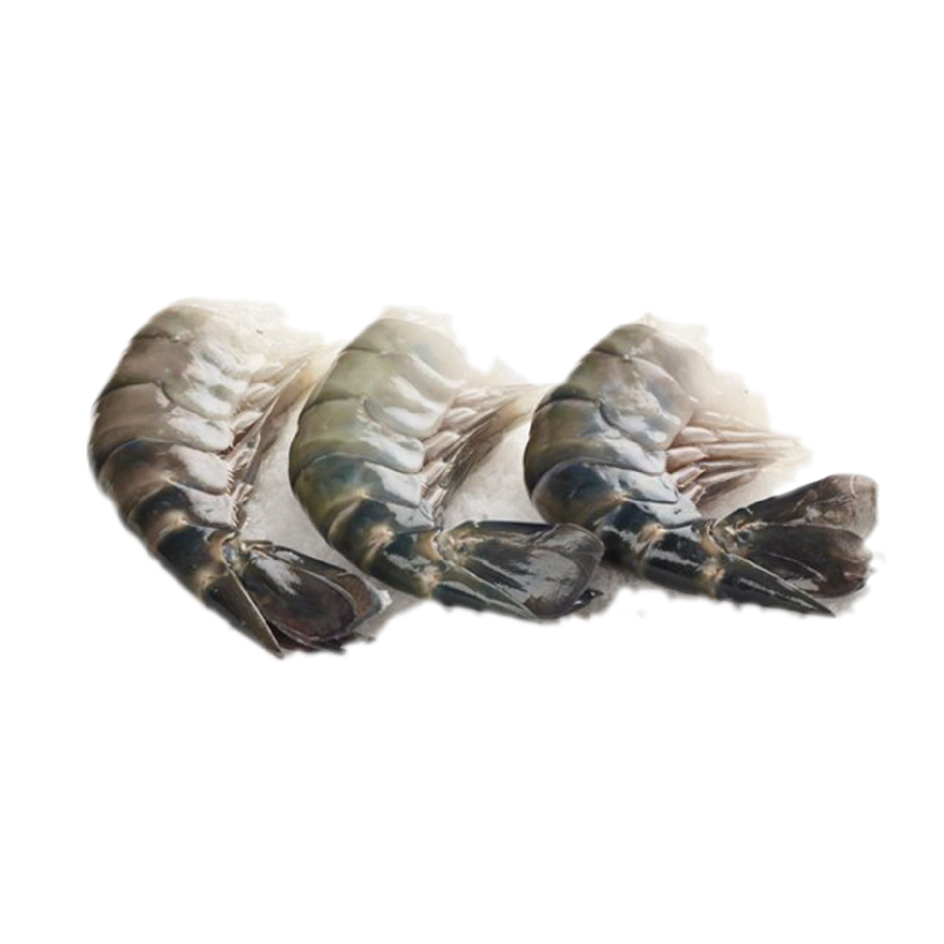 King Prawns HLSO 8/12 Block 1.5kg | Divino