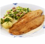 Picture of Ocean Classic Panga Fillets Skinless Boneless 170-220 1kg