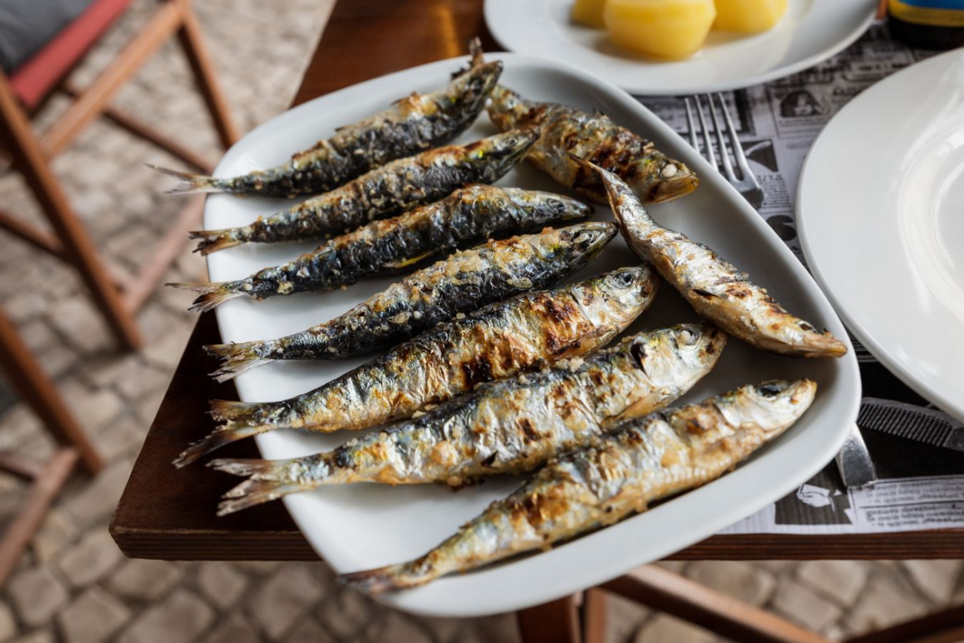 Love Mackerel? Time to Try Portuguese Sardines