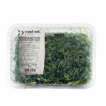 Picture of Spring Green Cabbage  250gr