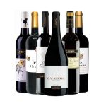 Picture of 6x Alentejo premium Red wines 75cl
