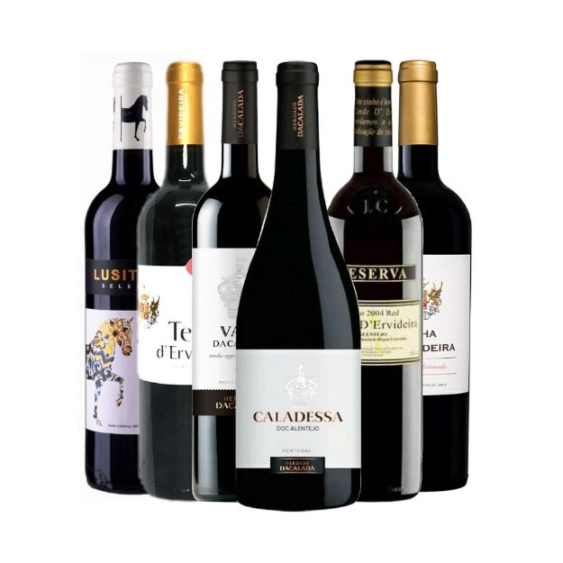 Picture of 6x Alentejo premium Red wines 75cl